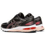 Asics GEL-Nimbus 21