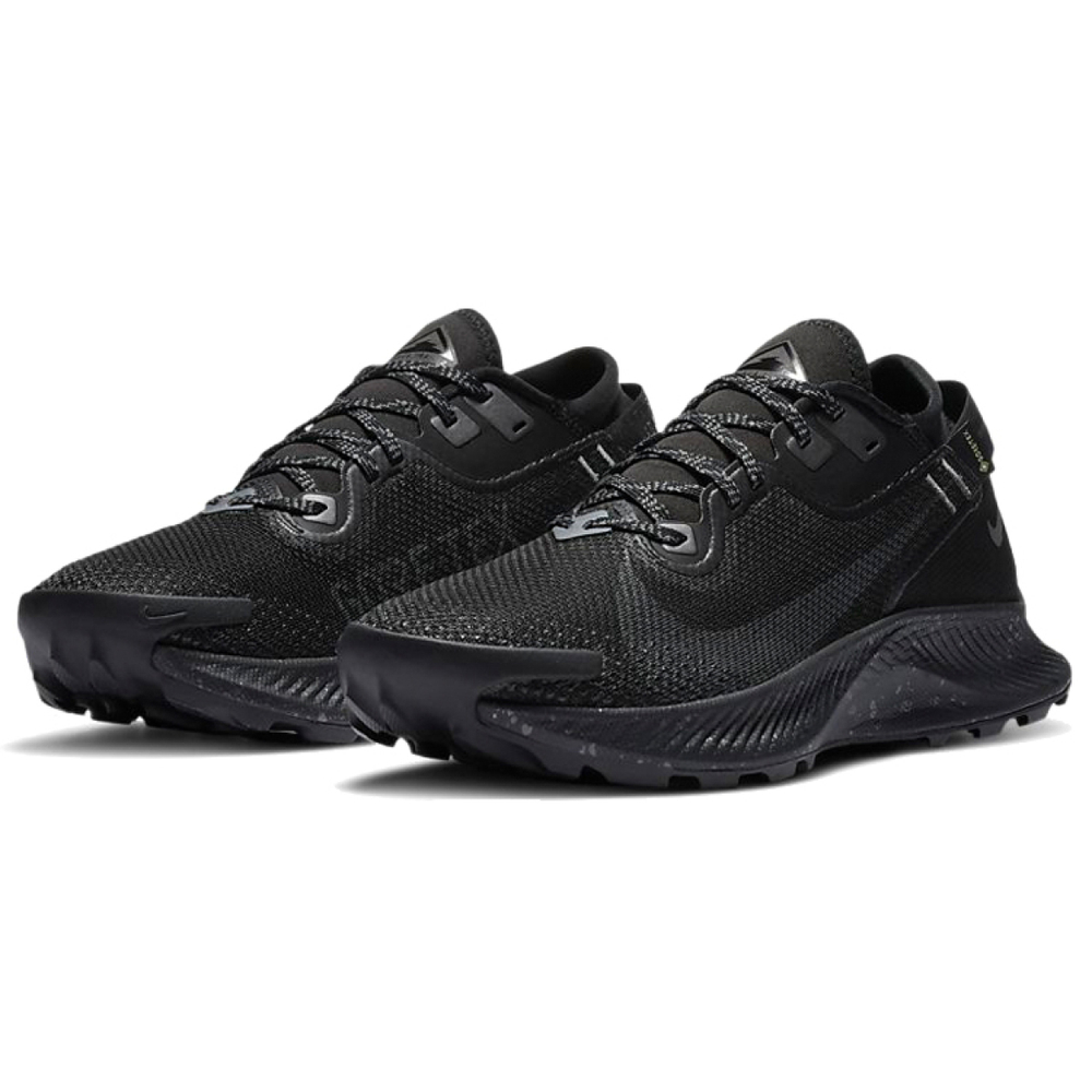 Nike Pegasus Trail 2
