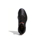Adidas D Rose 10