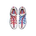 Nike Lebron 17