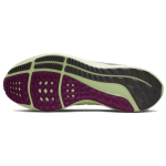 Nike Air Zoom Pegasus 39 TPU