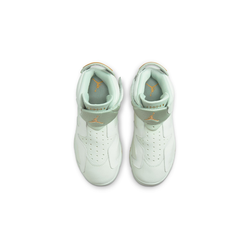 Jordan Air Jordan 6 Retro LTL Flex GC