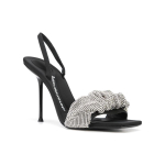 Alexander wang