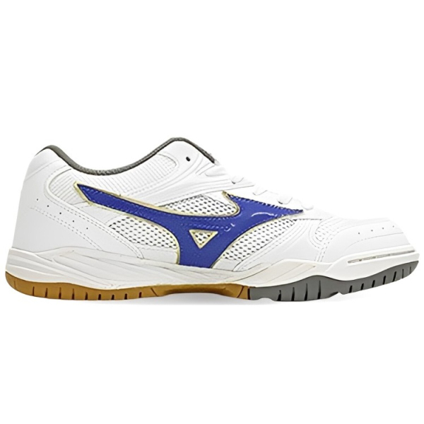 Mizuno School Indoor