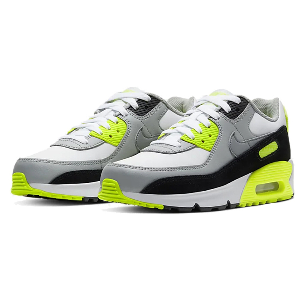 Nike Air Max 90 LTR
