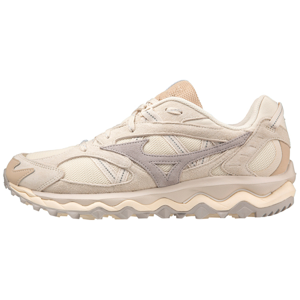 Mizuno Mujin