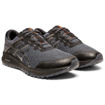 Asics Alpine XT 2