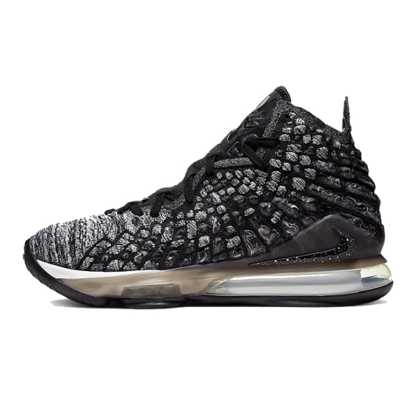 Nike Lebron 17