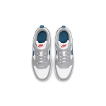 Nike Court Borough Dior