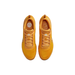 Nike Court Zoom Pro