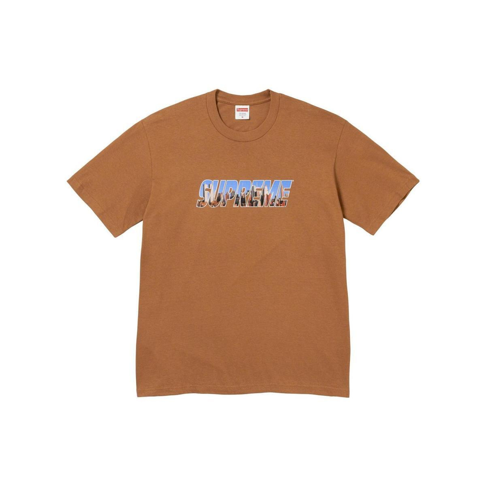 Supreme FW23 WEEK1 GOTHAM TEE Logo T