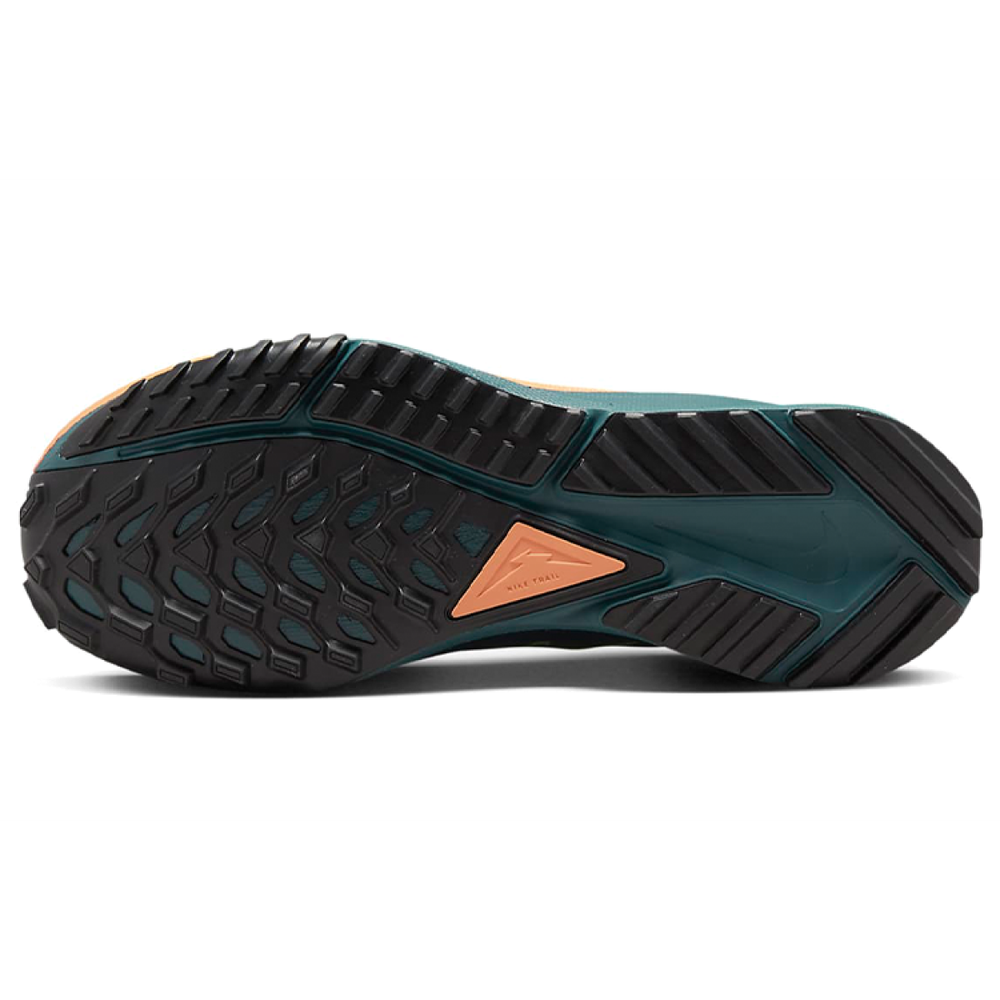 Nike Pegasus Trail 4 GORE-TEX