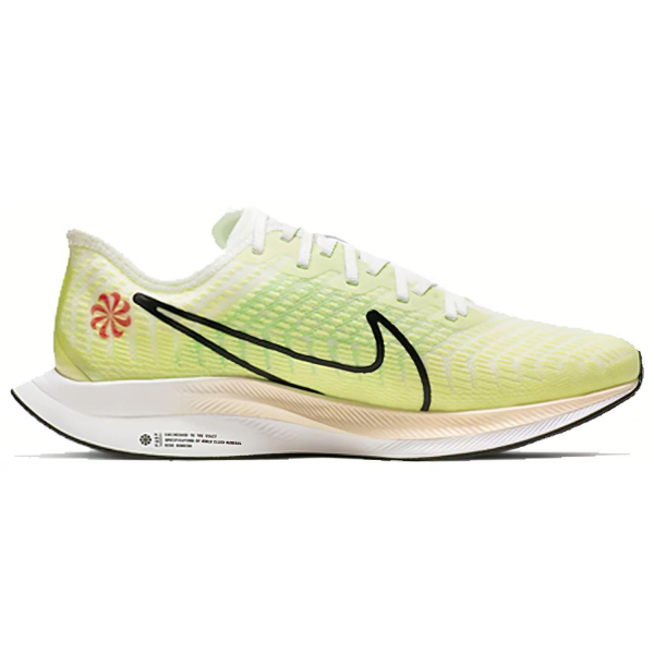 Nike Pegasus turbo 2