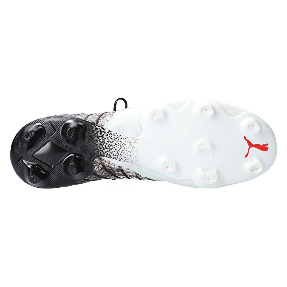 PUMA Future AG（ ）FG（ ）