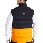 Timberland Logo