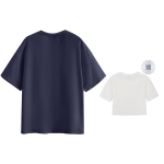 ICONS Lab SS23 ics T