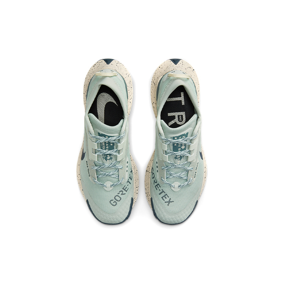 Nike Pegasus Trail 3 GTX
