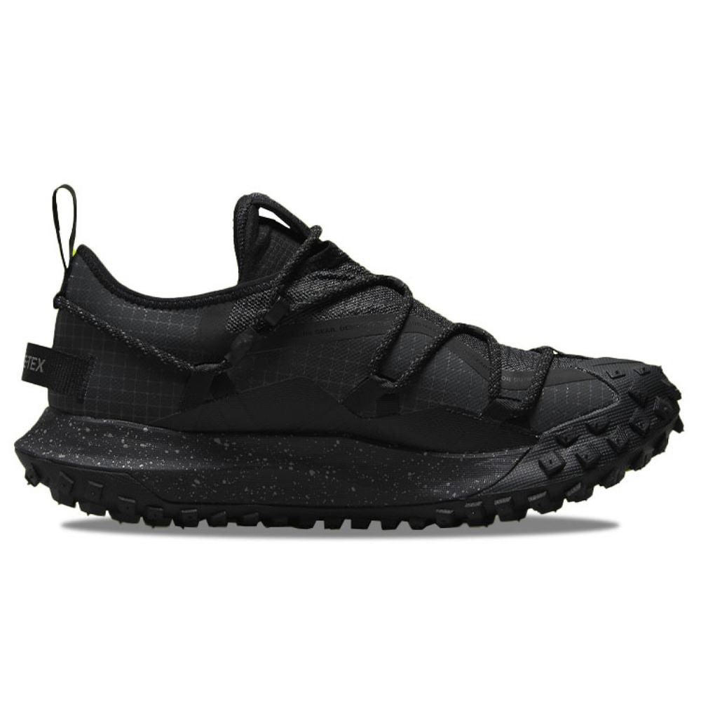 Nike ACG Mountain Fly Low GTX SE