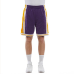 Mitchell & Ness NBA SW 84-85 logo