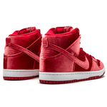 Nike Dunk SB