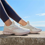Anta