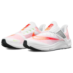 Nike Pegasus FlyEase