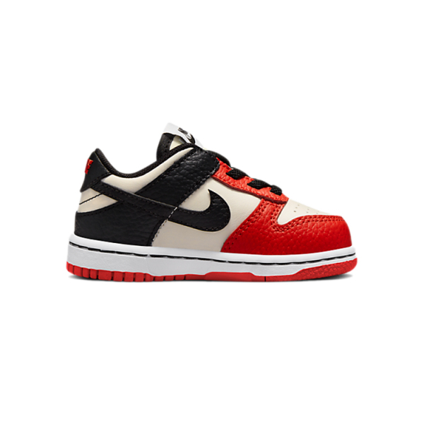 NBA x Nike Dunk NBA 75