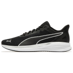 PUMA Transport