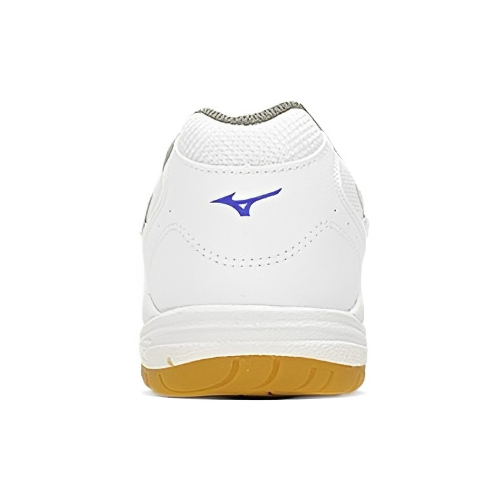 Mizuno School Indoor