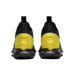 Nike Witness 4 LeBron EP