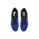 Nike Air Zoom Pegasus 39