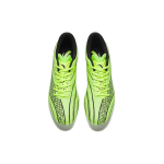 Anta