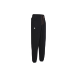 Air Jordan Logo