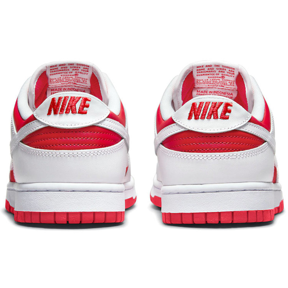 Nike Dunk Retro