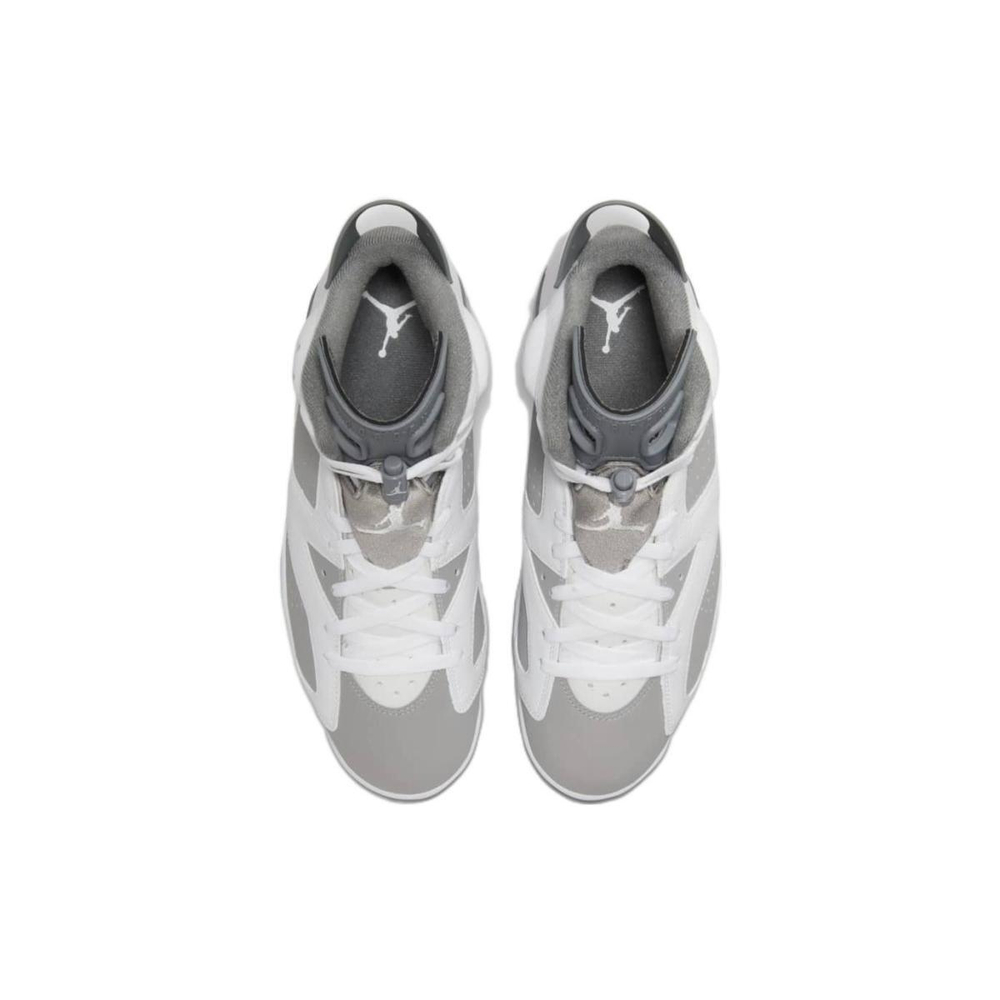 Jordan Air Jordan 6 "Cool Grey"