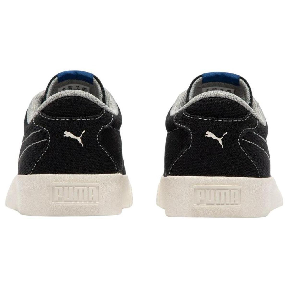 PUMA IV-60