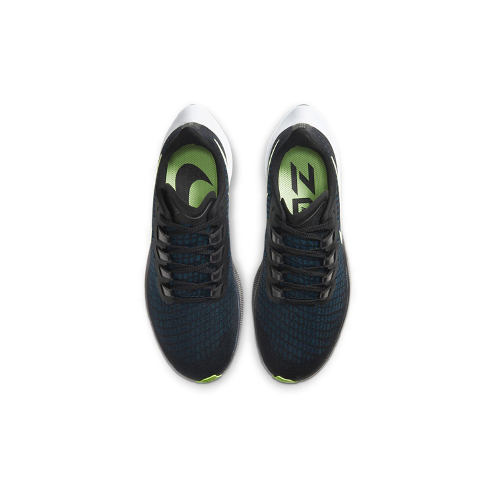 Nike Pegasus 37 Zoom 37