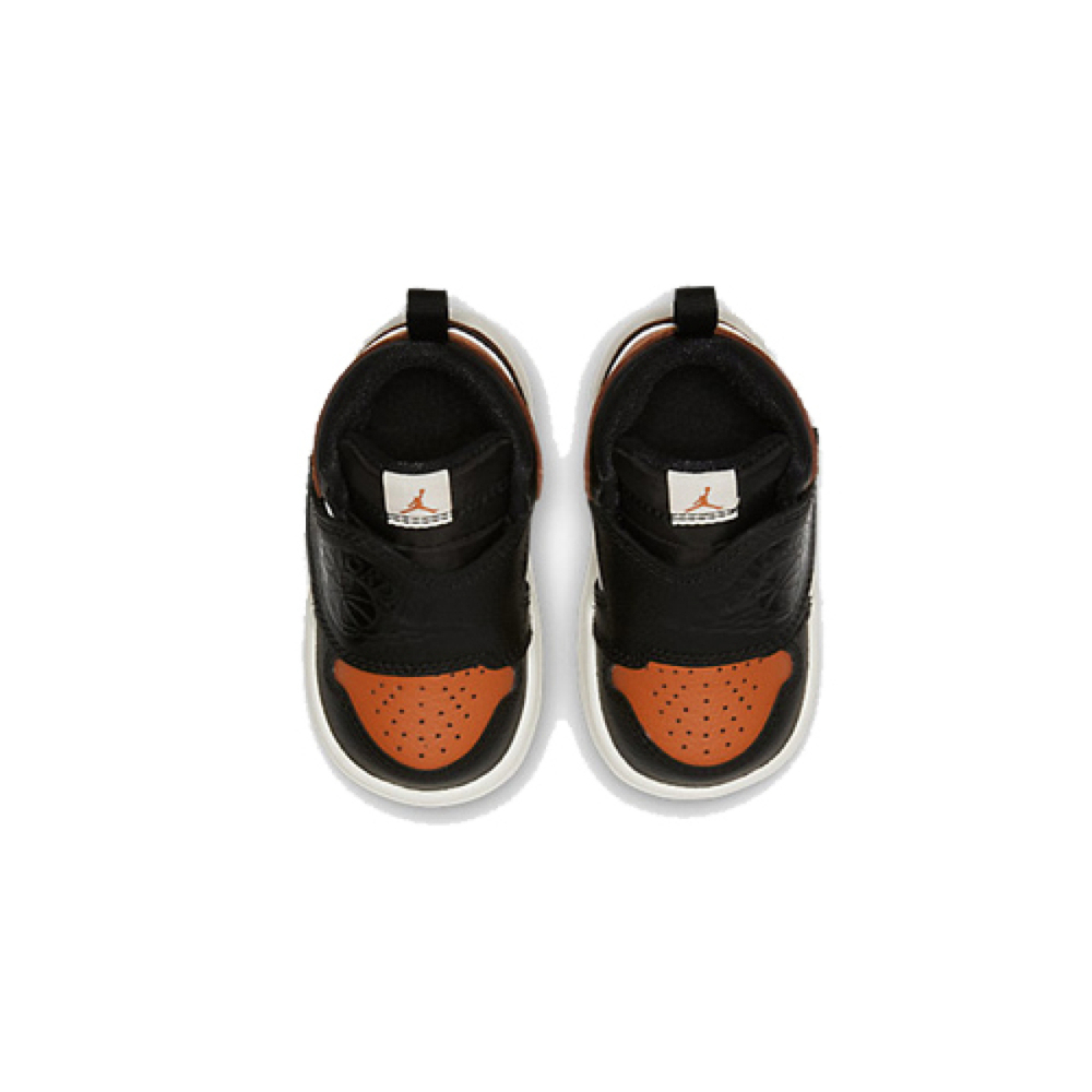 Jordan Air Jordan 1 Sky logo