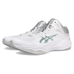 Asics Nova Flow 2