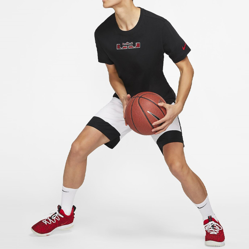 Nike Dri-Fit Lebron Logo T