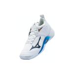 Mizuno