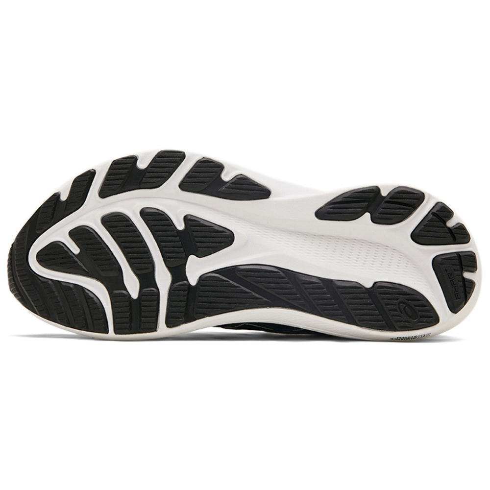 Asics GT-2000 12 2E