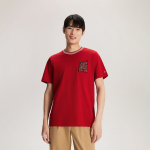 Tommy Hilfiger T