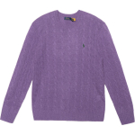 Polo Ralph Lauren FW23 Logo
