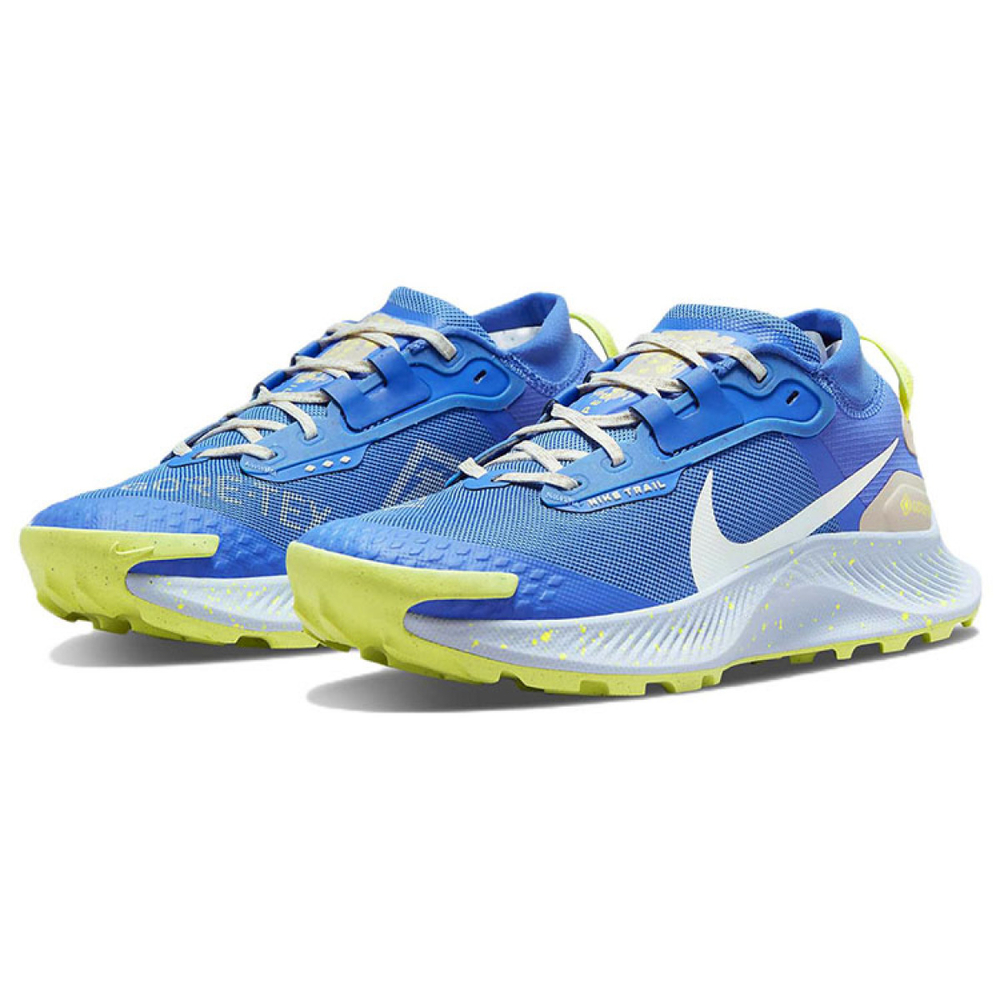 Nike Pegasus Trail 3 Gore-Tex