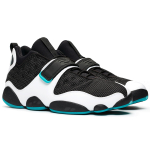 Jordan Black Cat