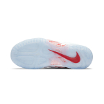 Nike Foamposite One
