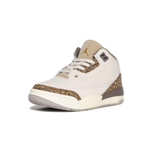 Jordan Air Jordan 3