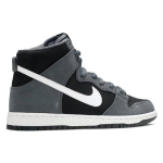 Nike Dunk SB Pro