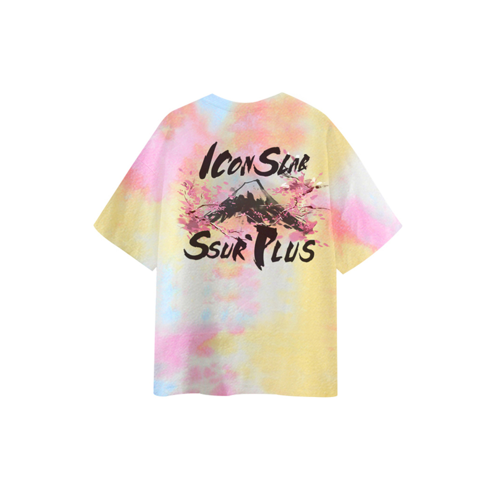 ICONS Lab T